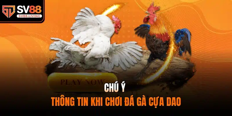 Chú ý thông tin khi chơi đá gà cựa dao