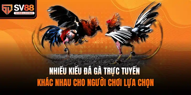 Nhiều kiểu đá gà trực tuyến khác nhau cho người chơi lựa chọn